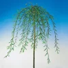 100-120 cm