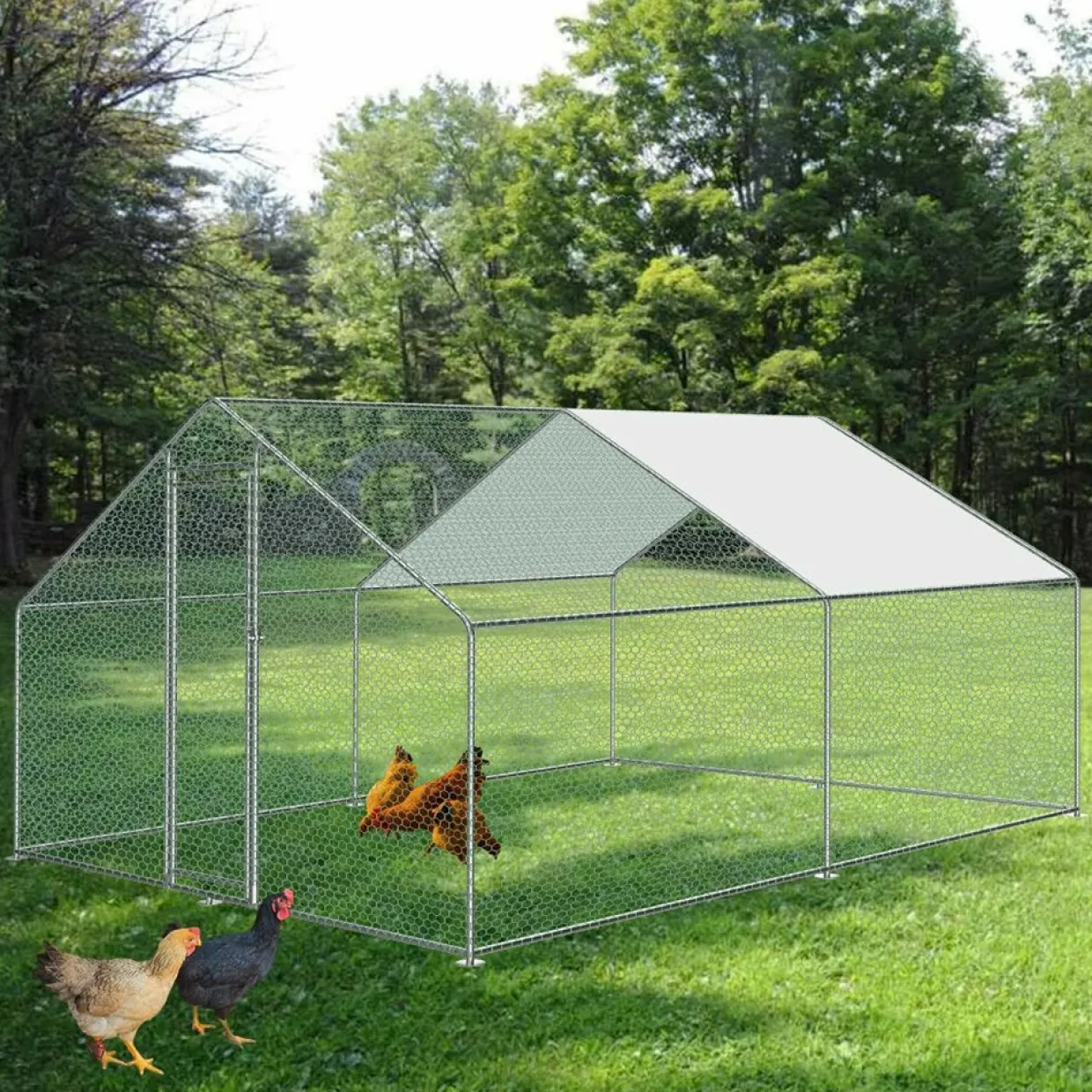 12 m2