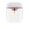 Acorn Vit