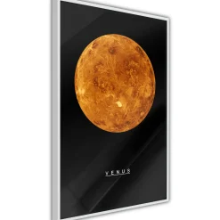 Affisch Venus