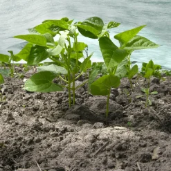 Agrimpex Agro-Marina 1,6x10 m Turkos