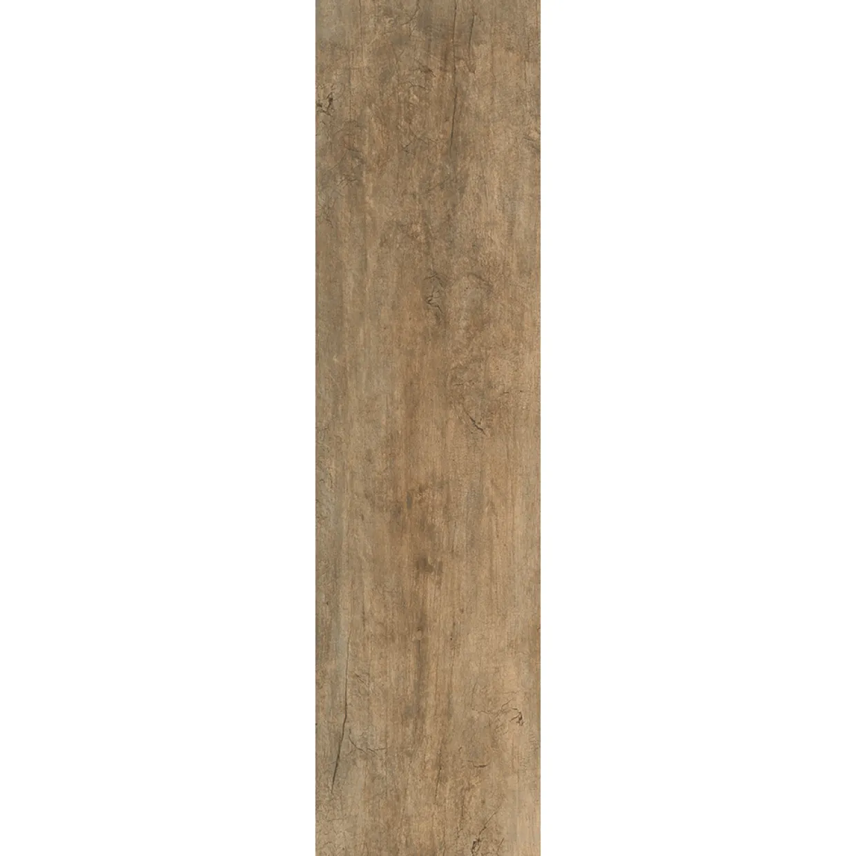 Albero Nocciolo 30x120 cm