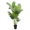 Areca 175 cm