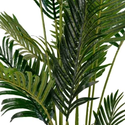 Areca 175 cm
