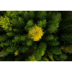 Aspire P5 Med Batteri & Laddare
