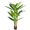 Banana Tree