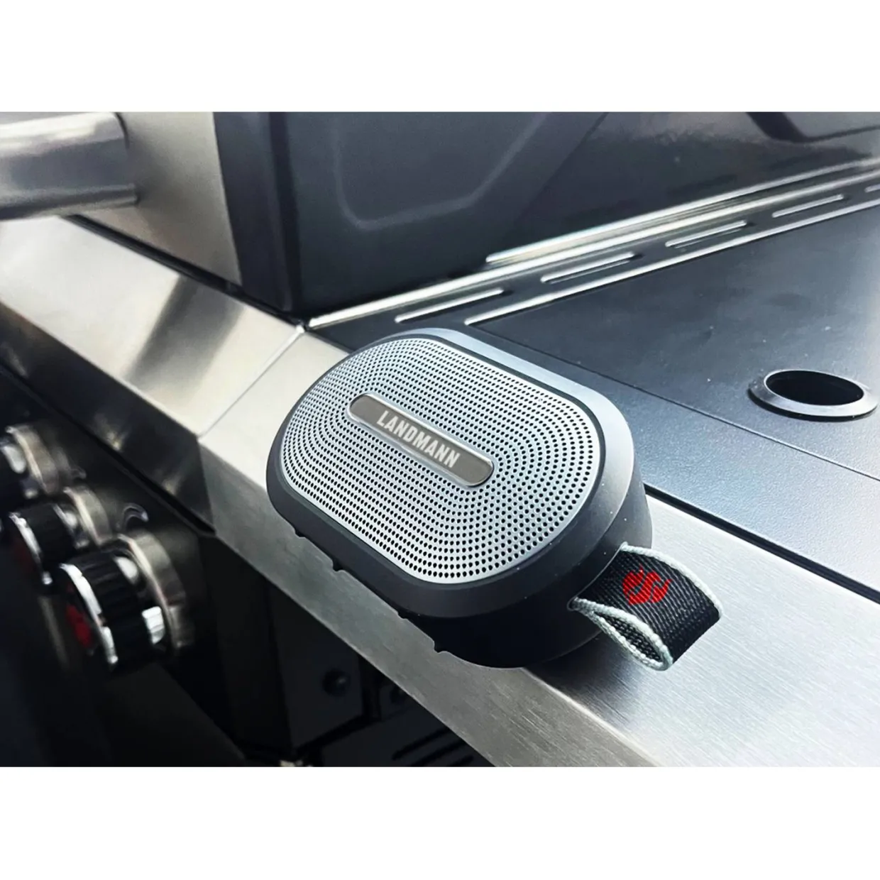 Barbeque Speaker