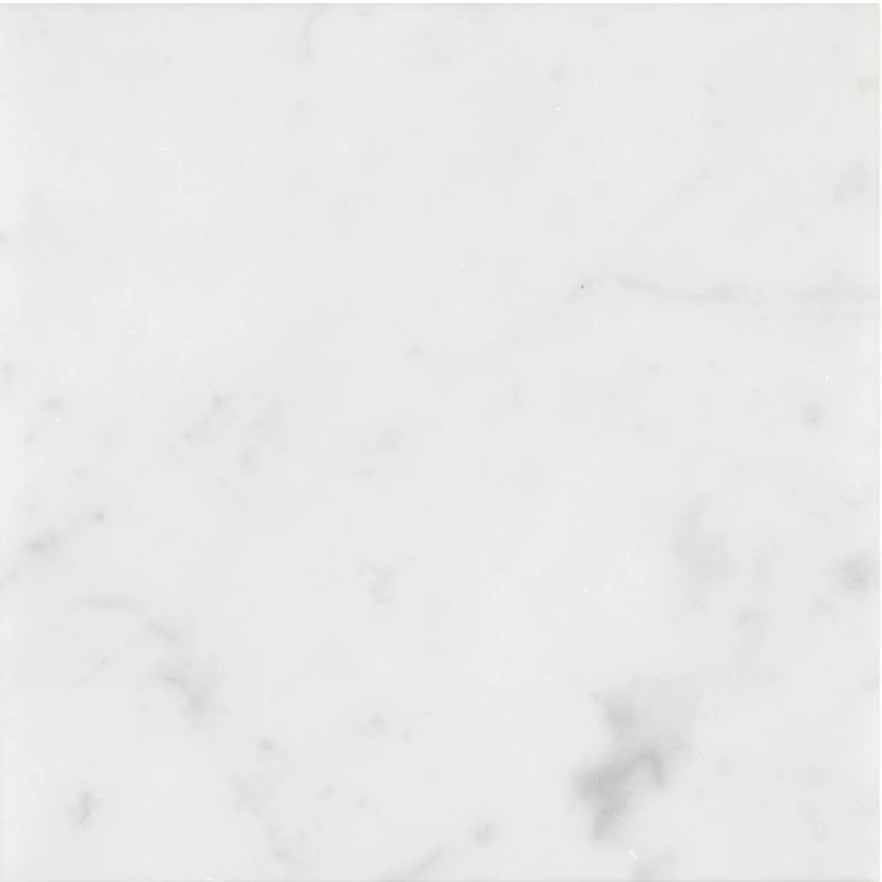 Bianco Carrara C Honed Vit 15x15 cm