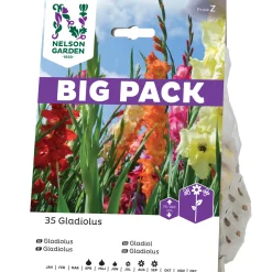 Blandade Färger BigPack