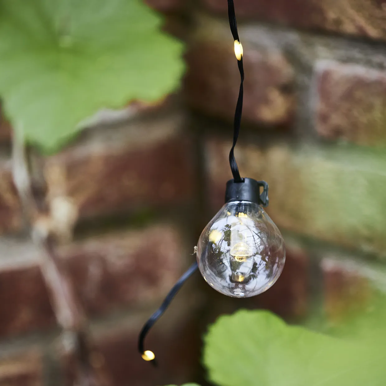 Bolla 20st LED-Lampor