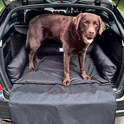 Boot Bed