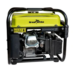 Bärbart 2000W