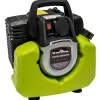 Bärbart 1000W