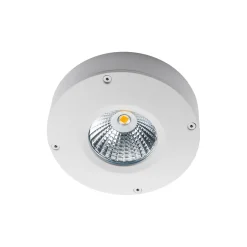 Callisto 3W IP65 LED