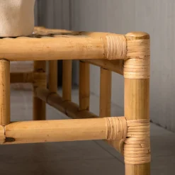 Cane Utomhus