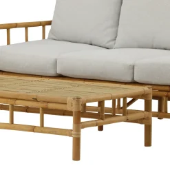 Cane Utomhus