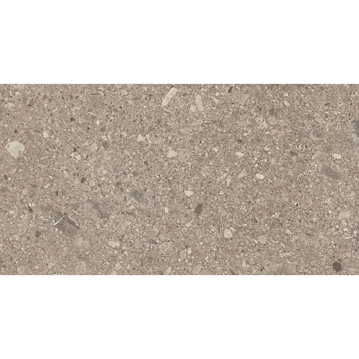 Ceppo Di Gre Greige 75x150 cm