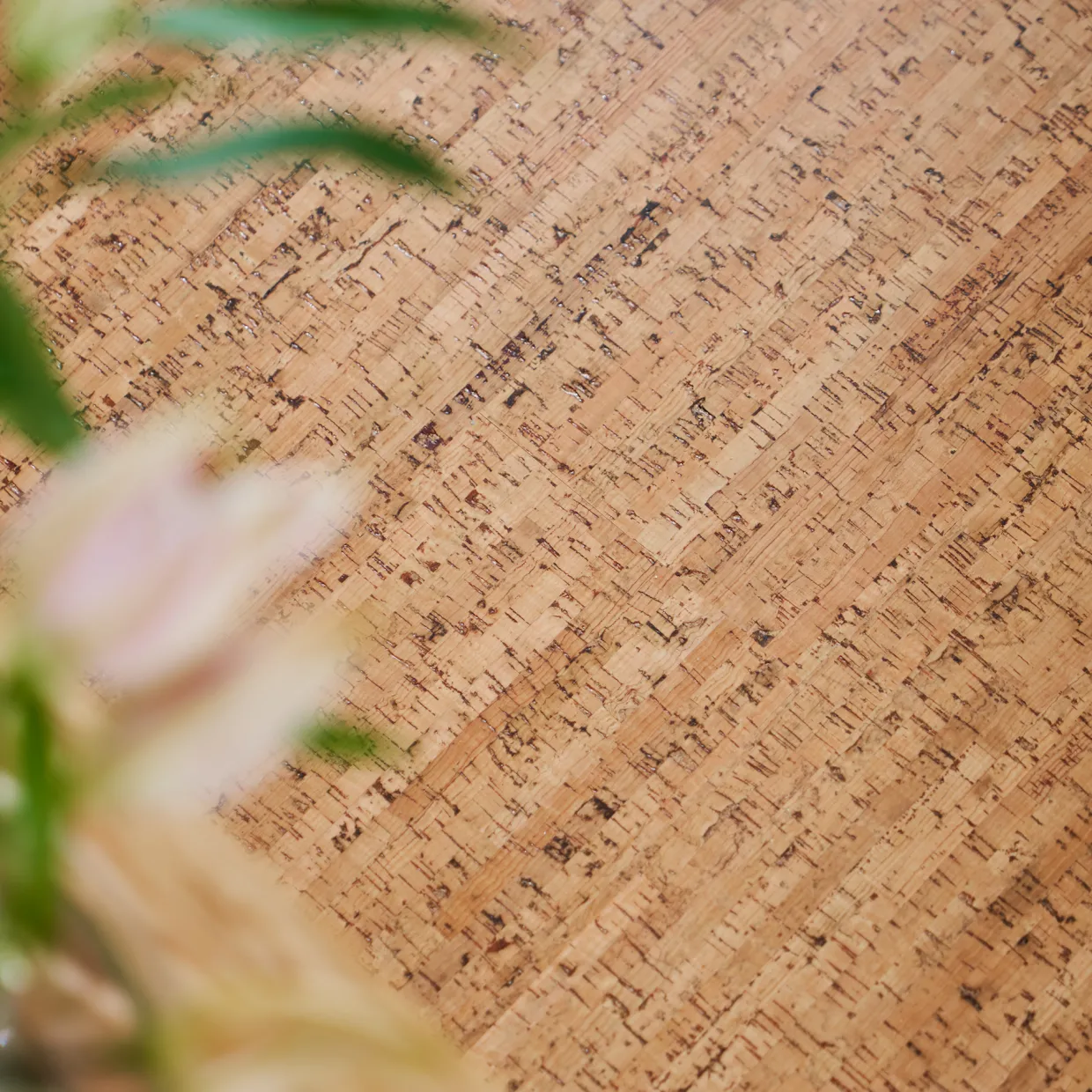 Cork Start- Traces Natural