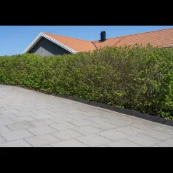 Corten 4-pack Gräskant, 110 cm