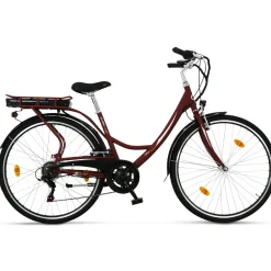 Dam 28" med Cykeldator Mattröd