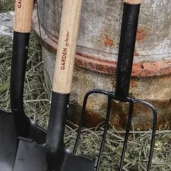 Deluxe