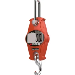 Digital 300 kg