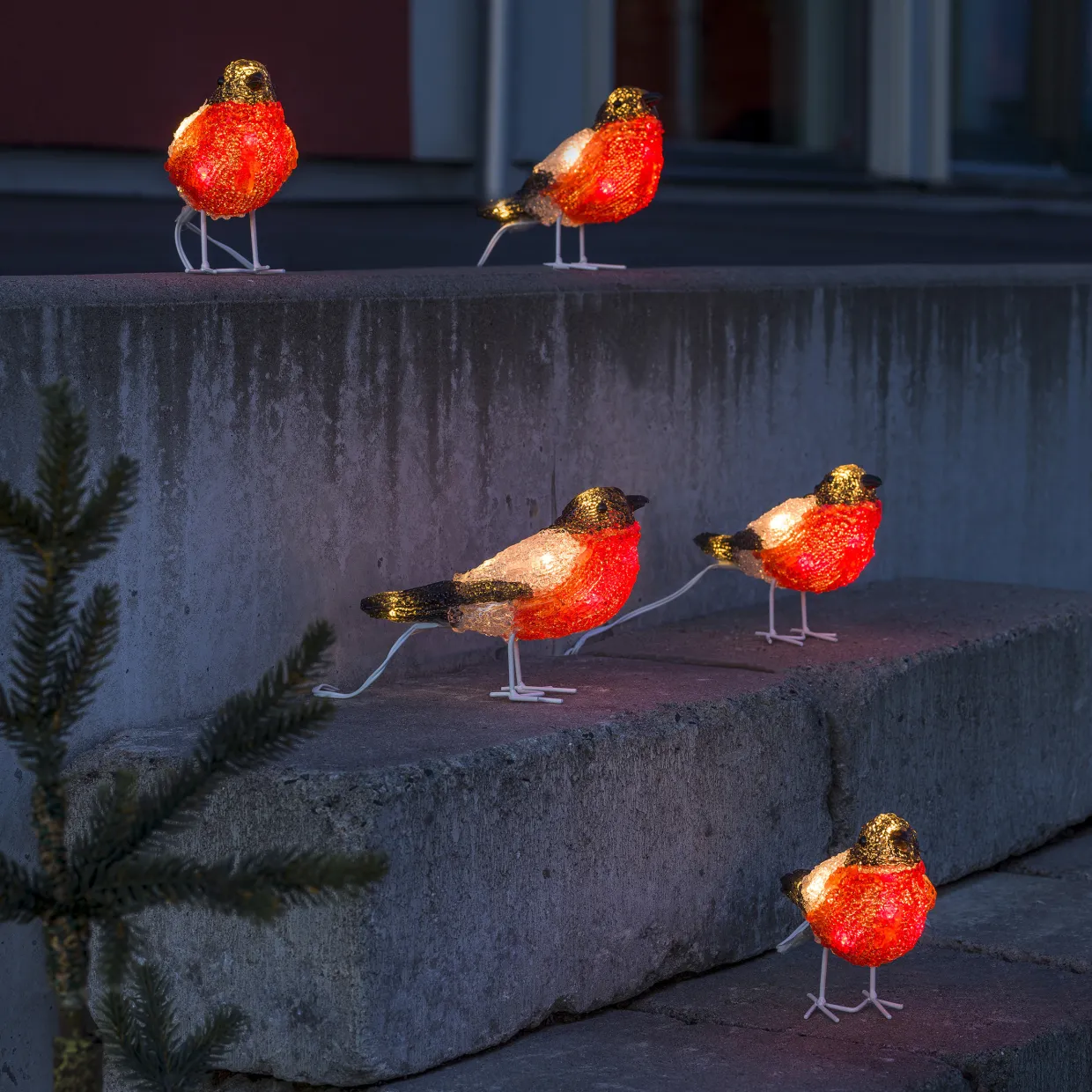 Domherrar 5 st LED