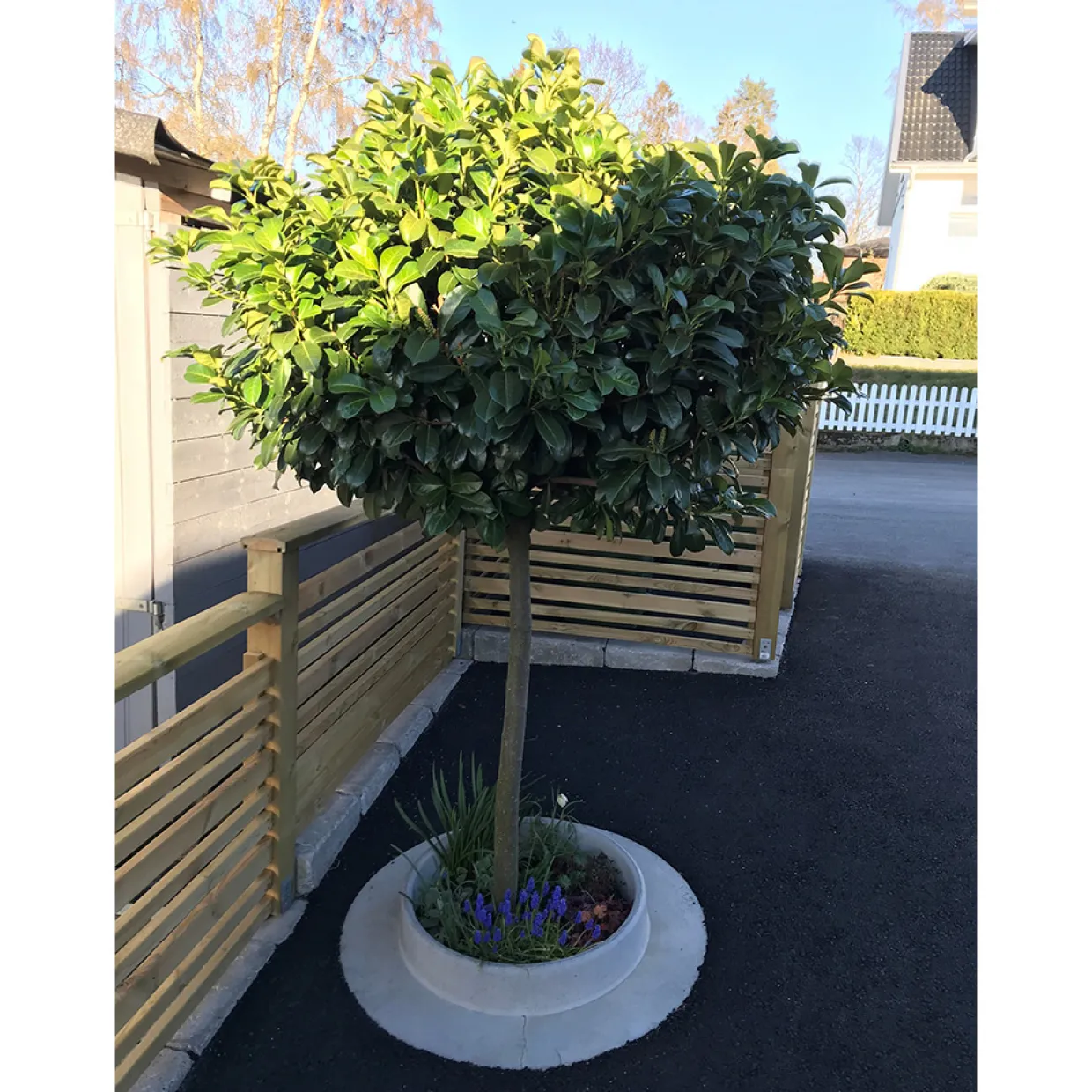 Domsand Betong 80 cm