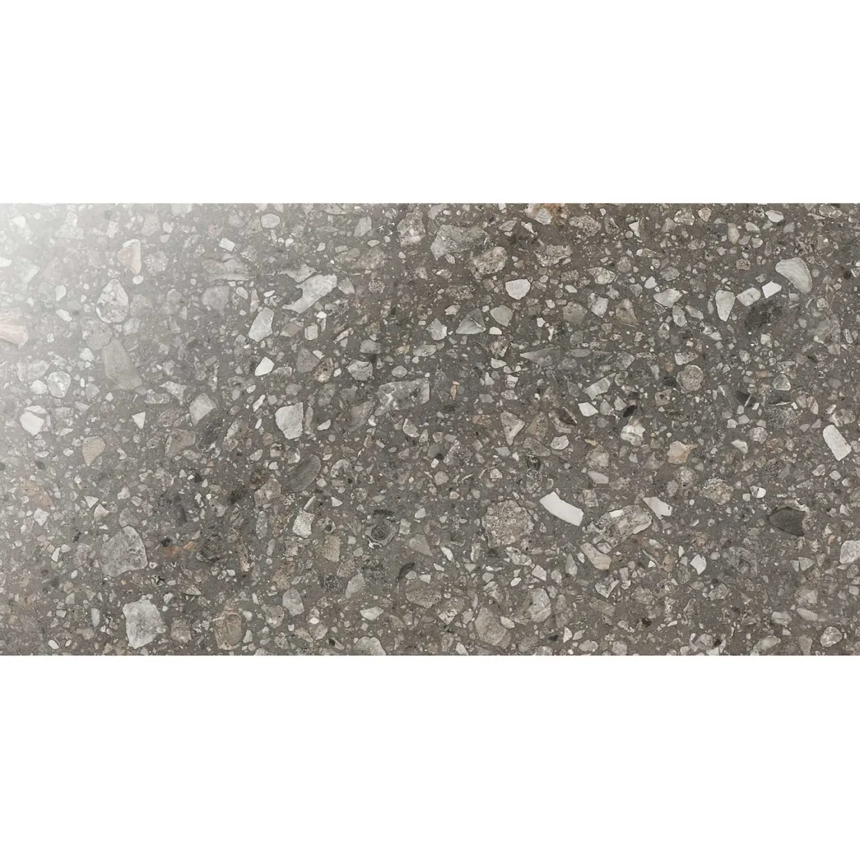 E36 Terrazzo San Polo Polished 30x60 cm