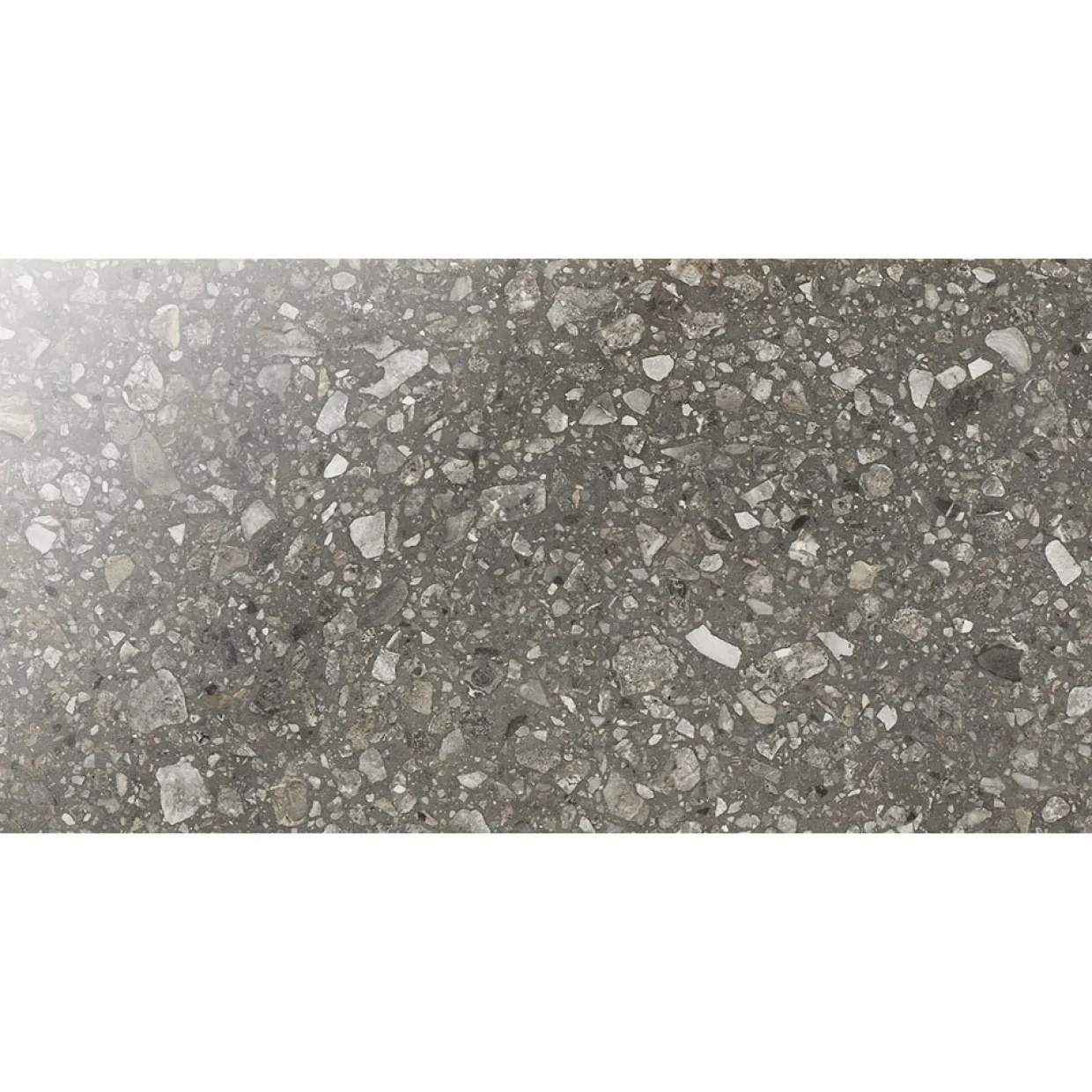 E36 Terrazzo San Polo Polished 30x60 cm