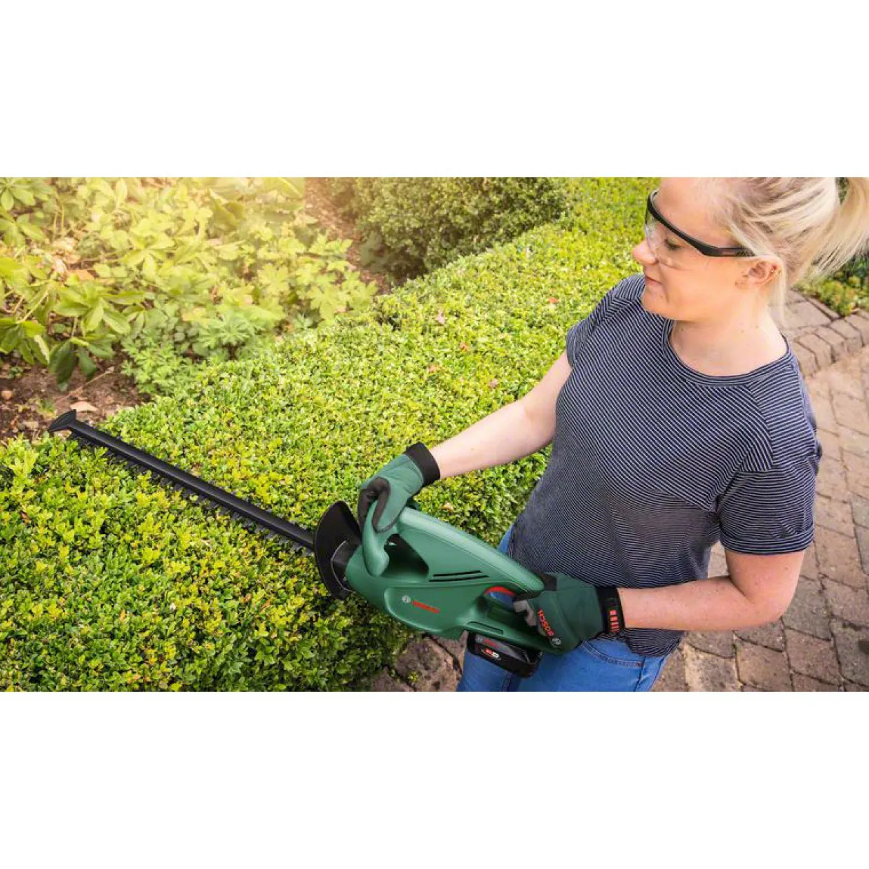 EasyHedgeCut 18V-45 2X2AH 1810CV