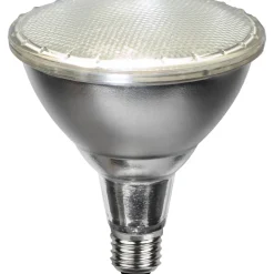 E27 PAR38 Spotlight Outdoor Silver