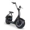 Fatbike 1000W