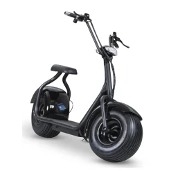Fatbike 1000W