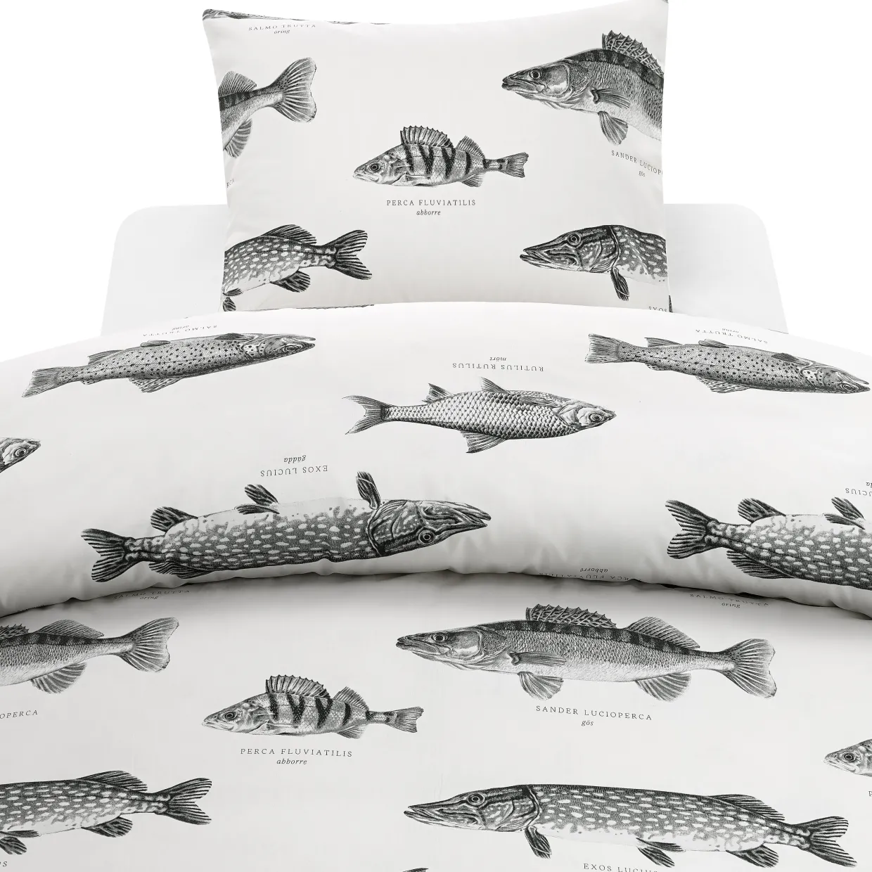 Fiske Enkelsäng
