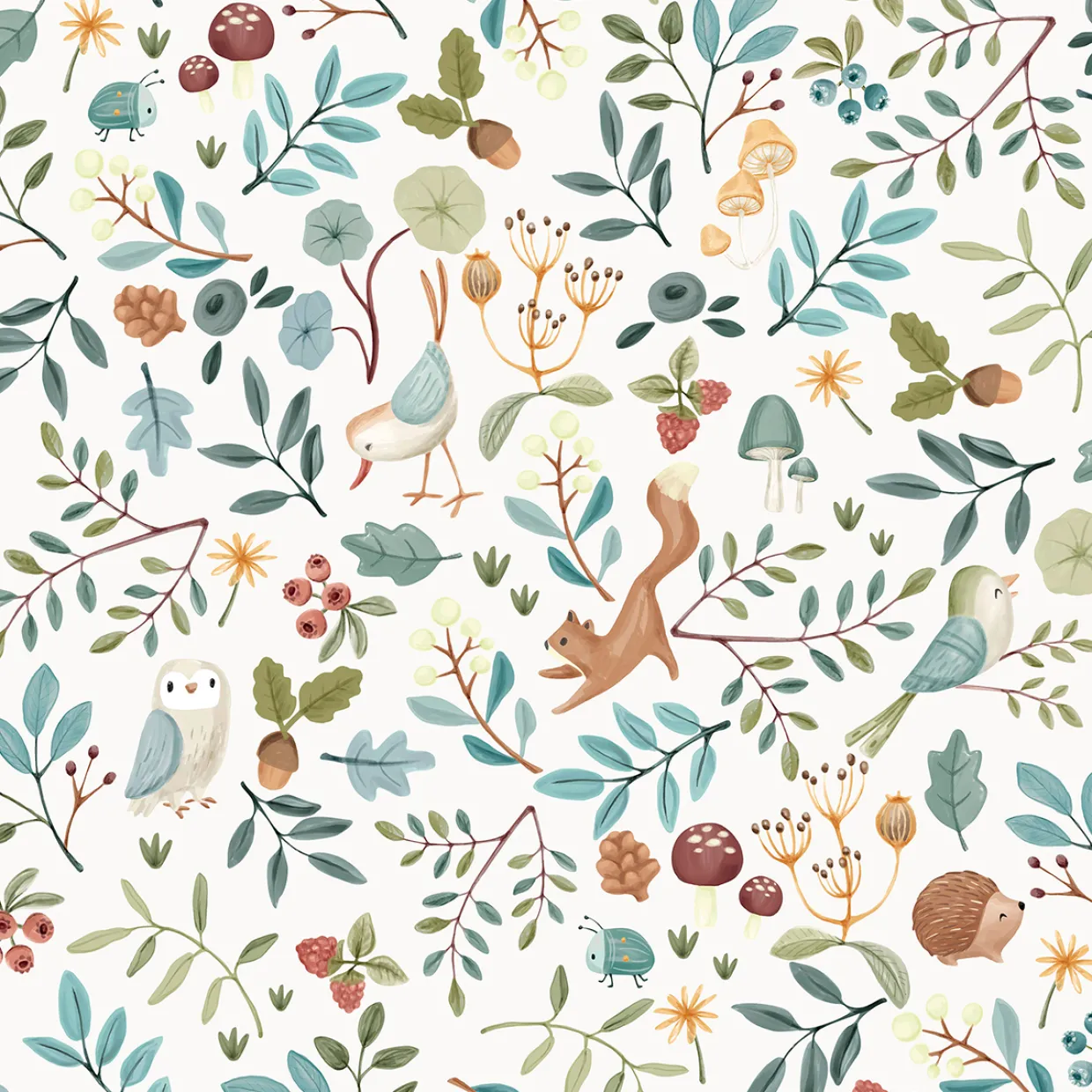 Forest Wonders