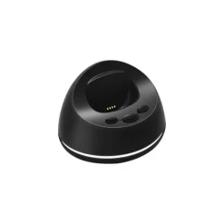 För Pico 4G
