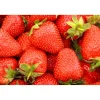Fragaria Ananassa Sonata