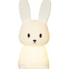 Functional Bunny