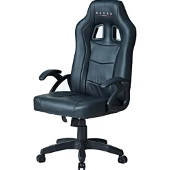 Gamer