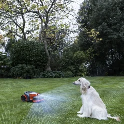 H206E