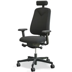 Höganäs 280 med Armstöd och Nackstöd