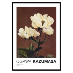 Hærdaceous Peony By Kazumasa Ogawa