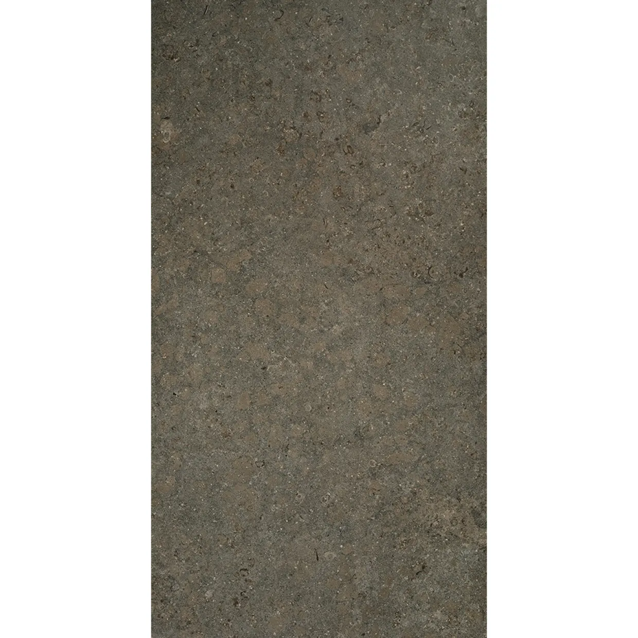 J612 Azul Olive