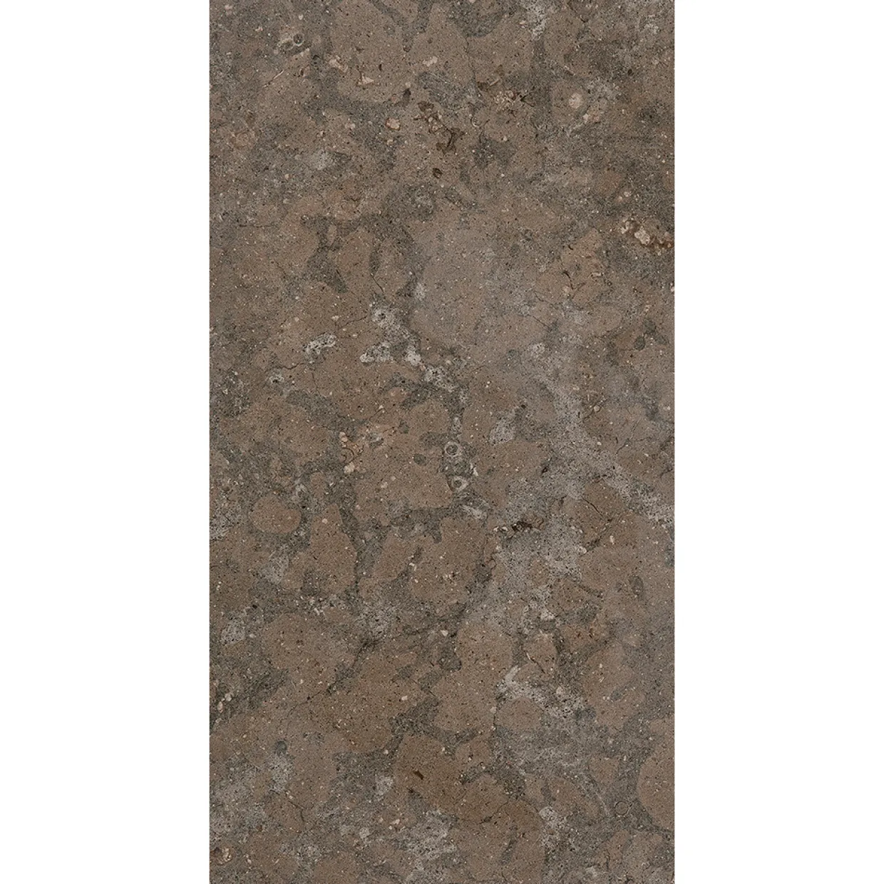 J612 Azul Olive