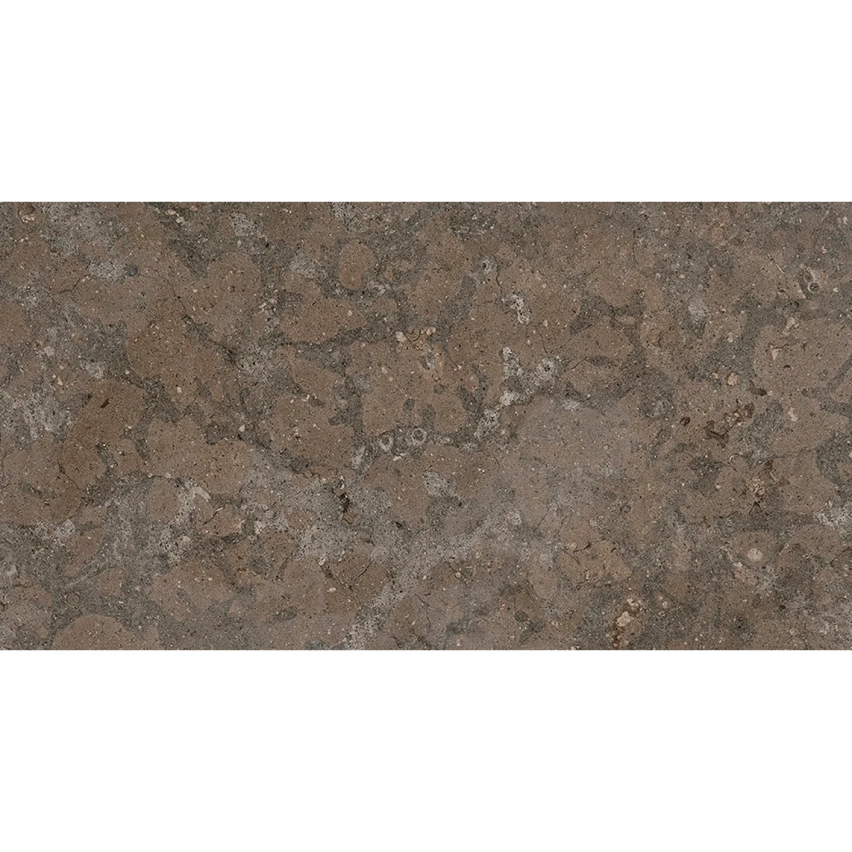 J36 Azul Olive