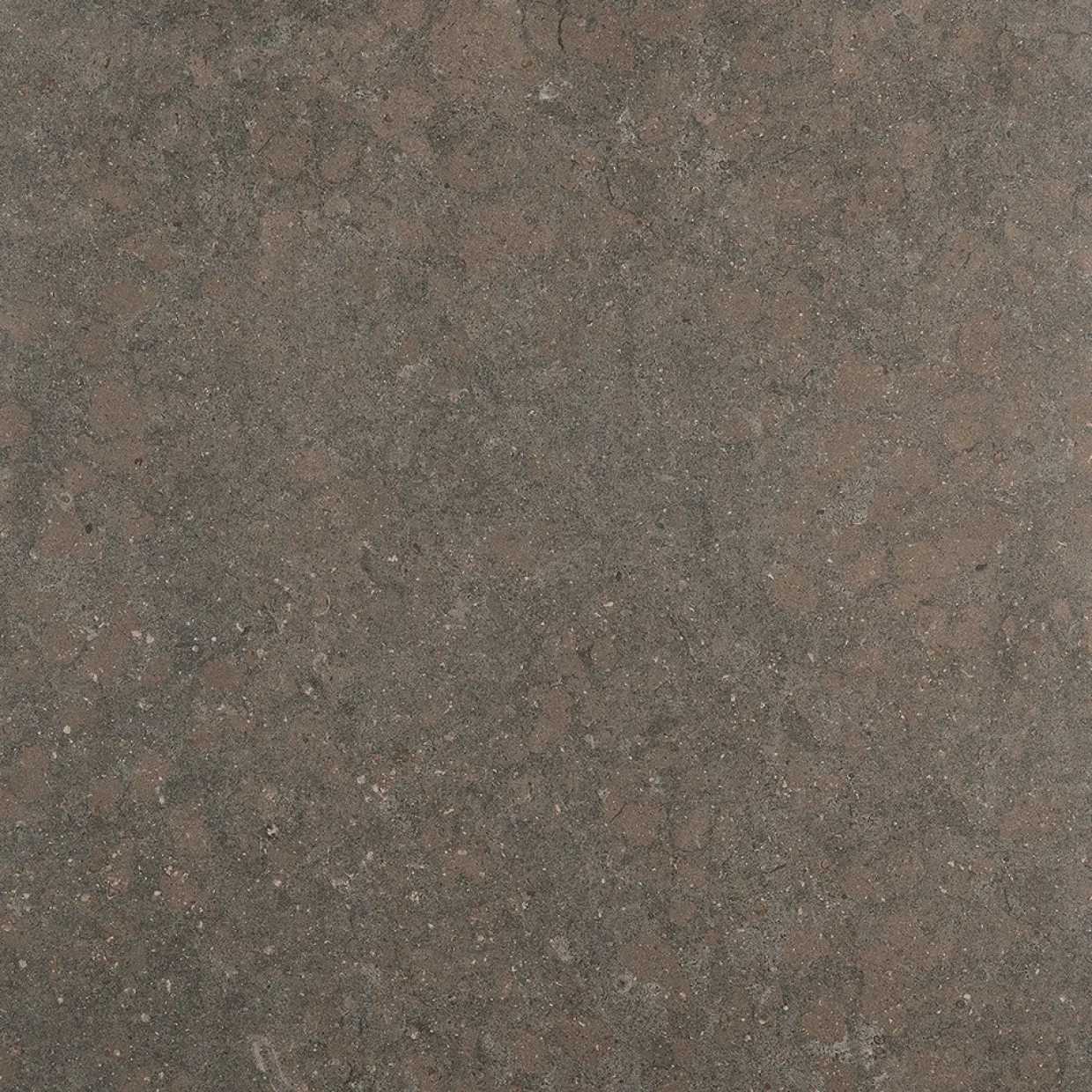 J66 Azul Olive