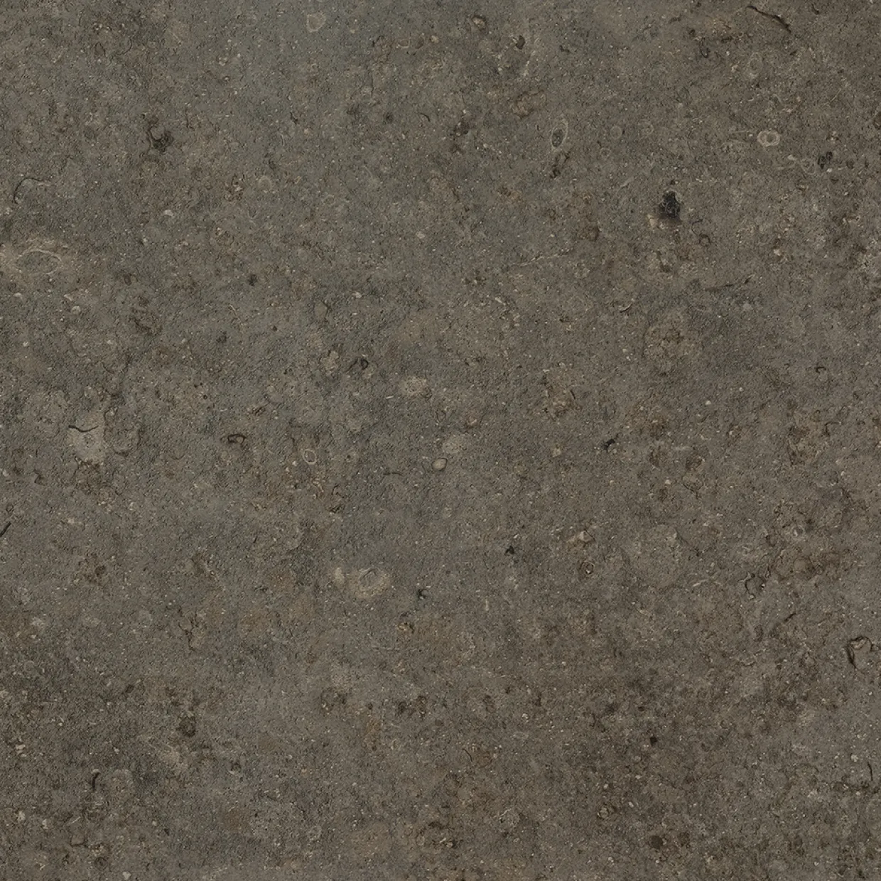 J66 Azul Olive Honed