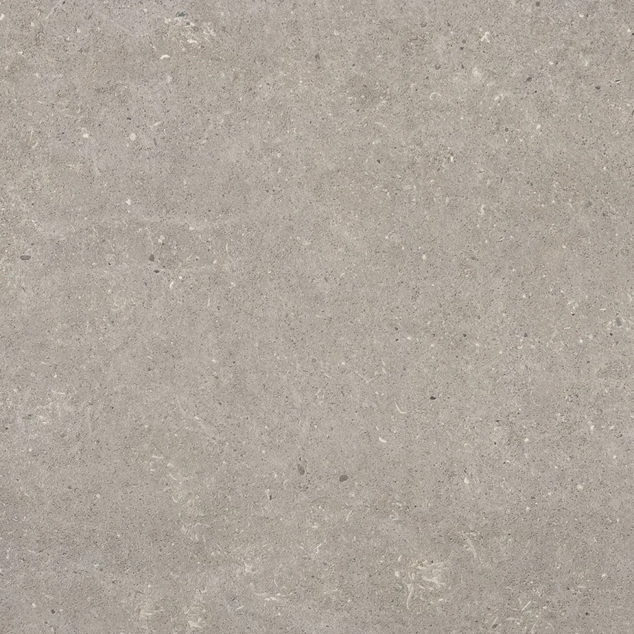 J66 J Stone Select Light Grey 60x60 cm