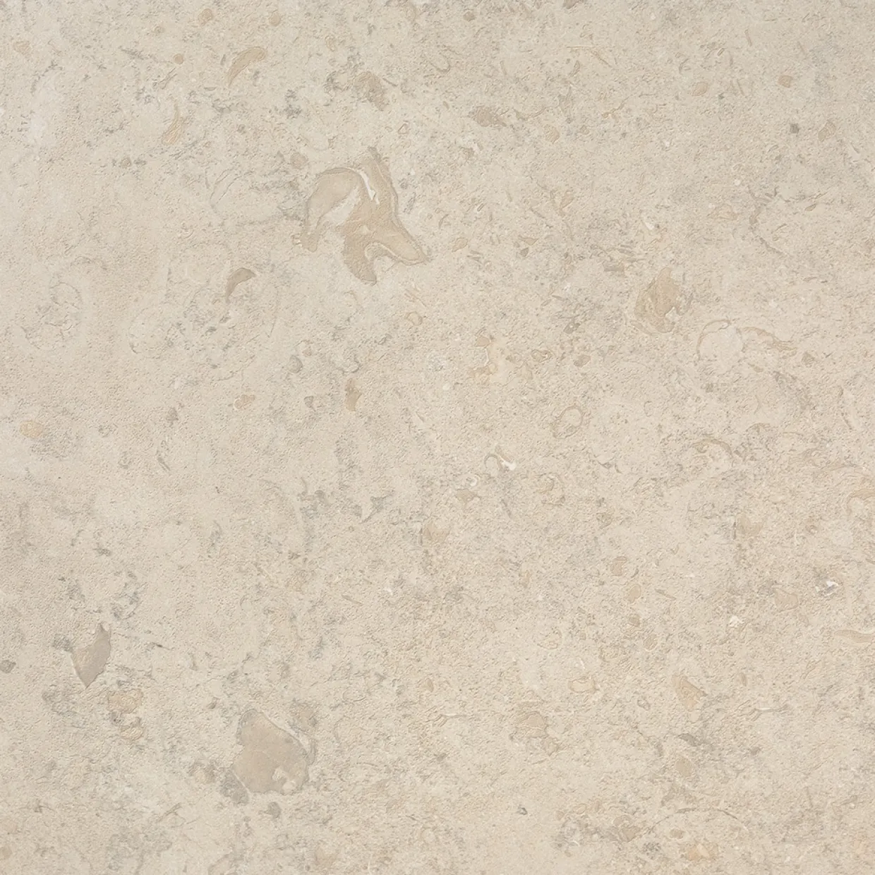 J66 Norrvange Ivory Honed 60x60 cm